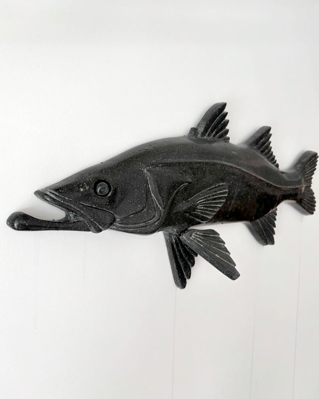 Robalo-Flecha 2