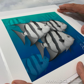 Atlantic spadefish Fine Art 27cm X 27cm