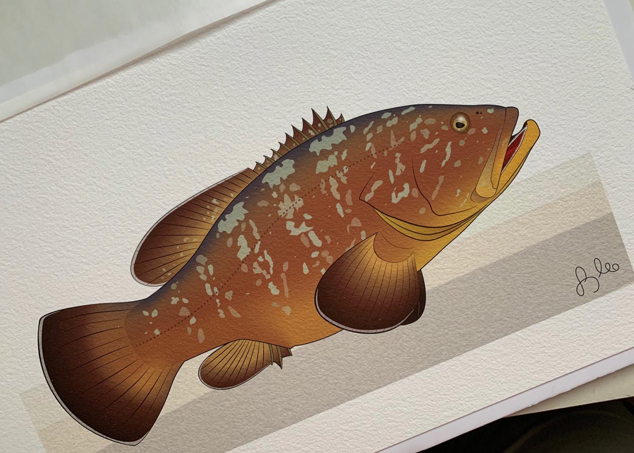 Grouper Fine Art 54cm X 33cm