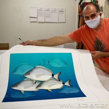 Silver porgy 80cm X 80cm