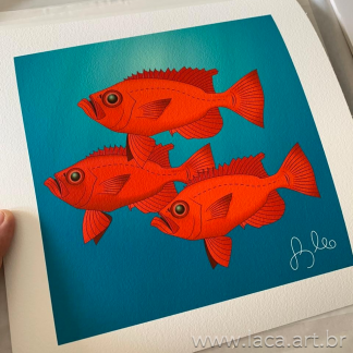 Atlantic bigeye Fine Art 27cm X 27cm