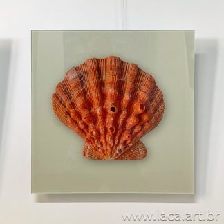 Quadro "Coquille Saint Jacques" - Metacrilato 40X40cm